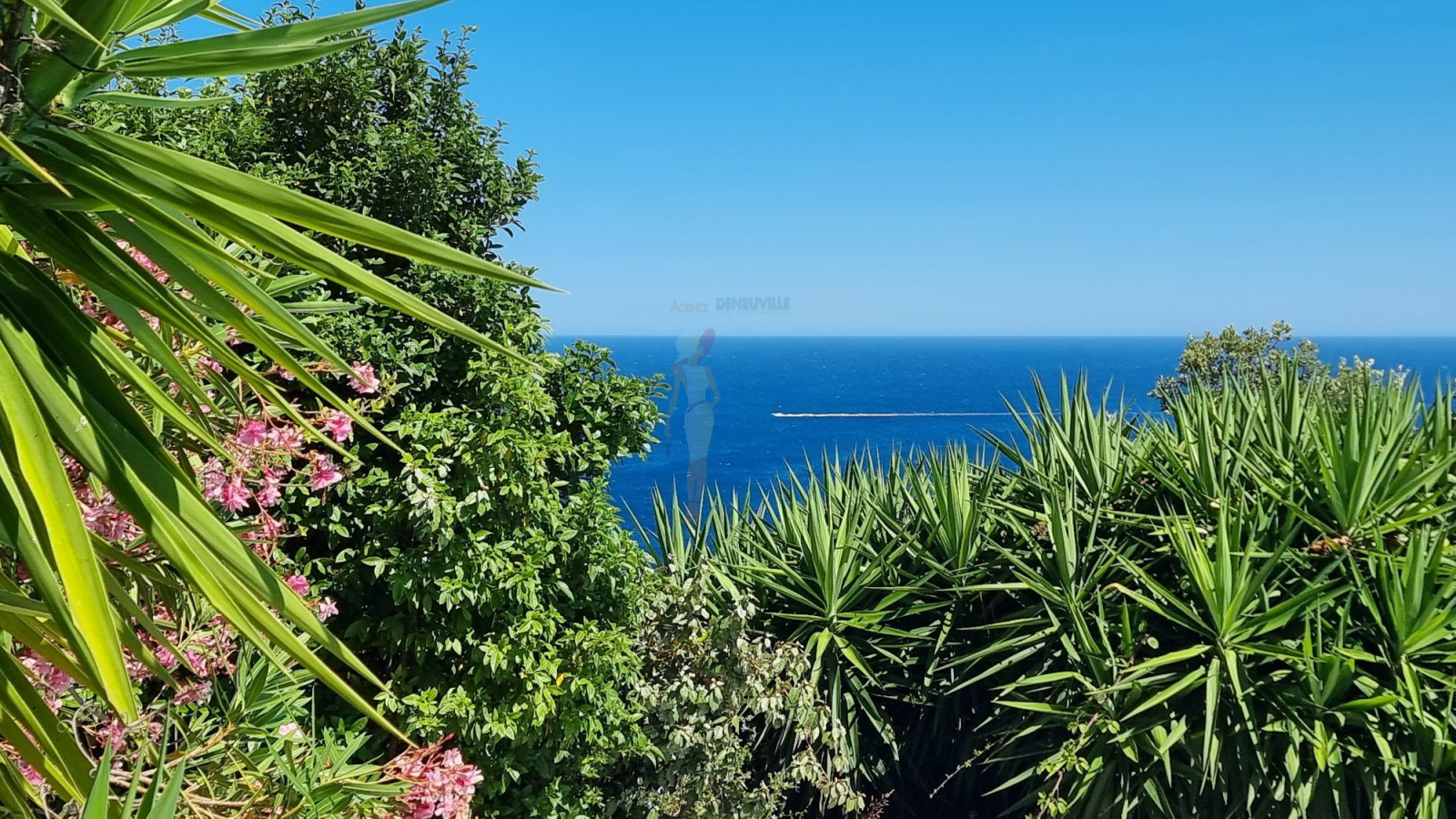 Image_24, Villa, Les issambres, ref :25022-AD