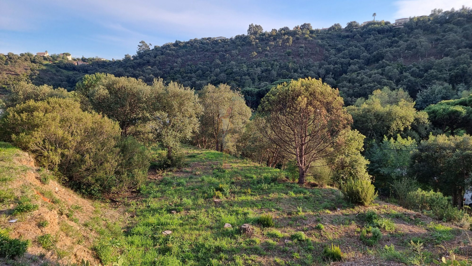 Image_1, Terrain, Les issambres, ref :26003-AD