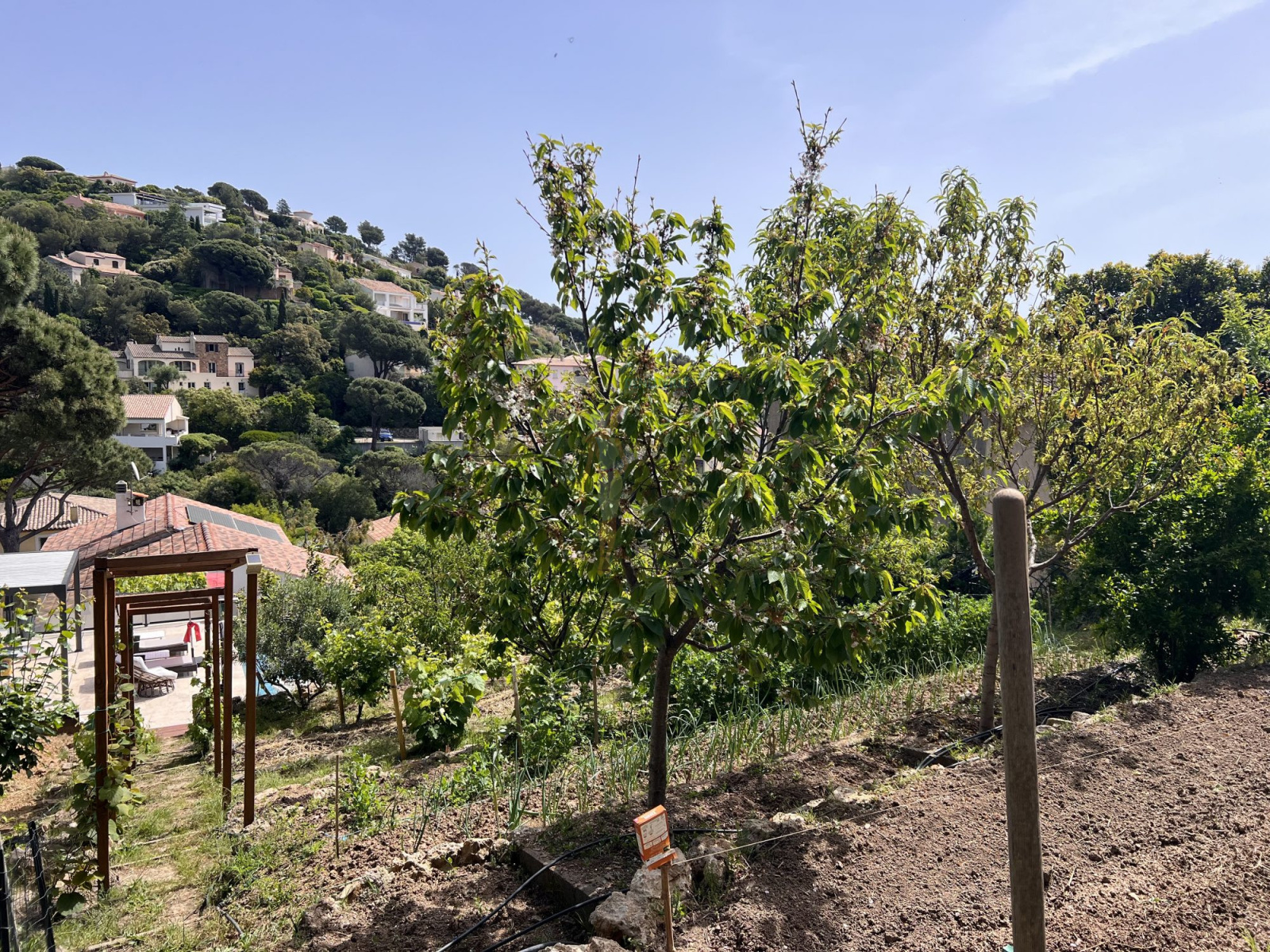 Image_19, Maison, Les issambres, ref :25004-AD